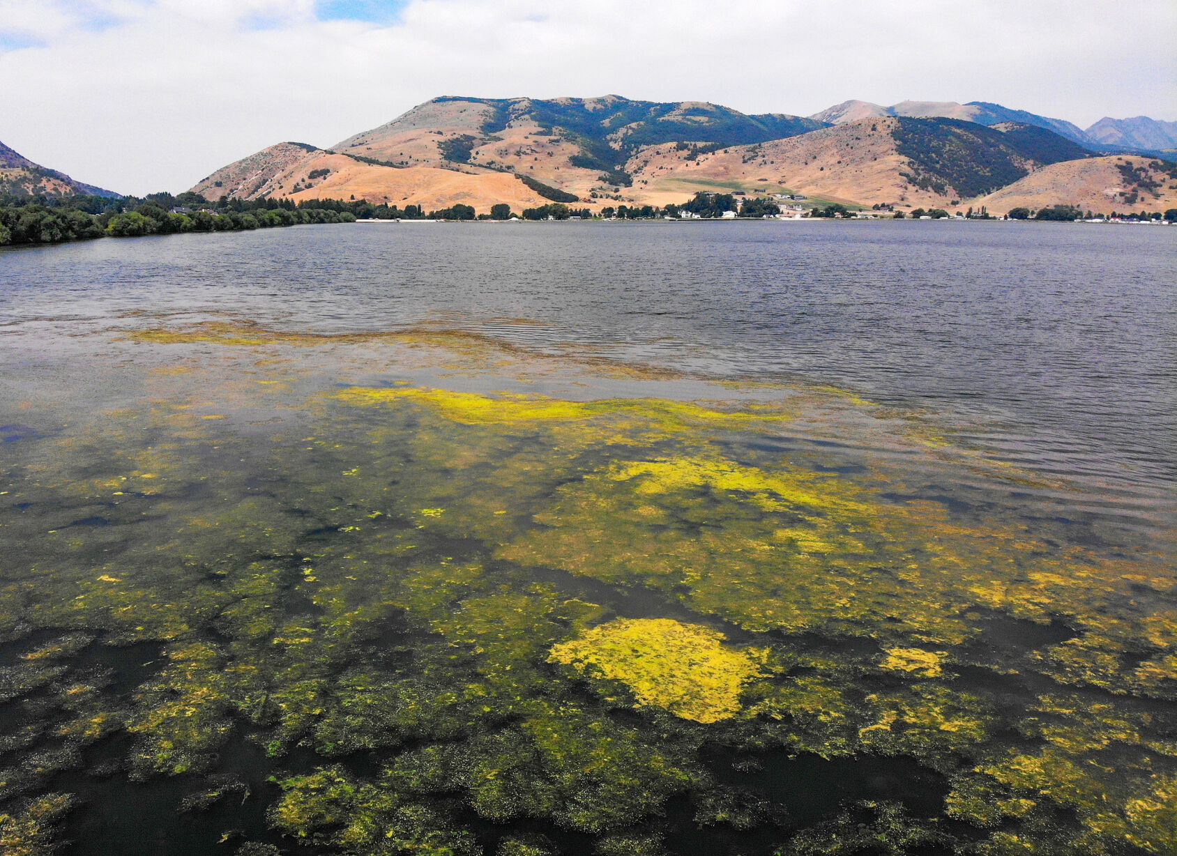 Be aware of algae blooms while fishing
